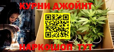 мяу мяу мука Будённовск
