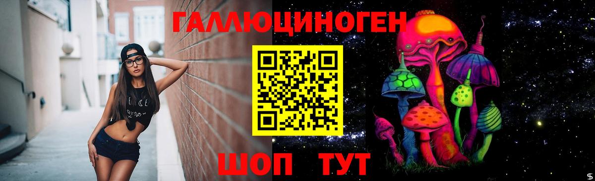 Псилоцибиновые грибы GOLDEN TEACHER  Псилоцибиновые грибы Cubensis  Полысаево  Вход с VPN 